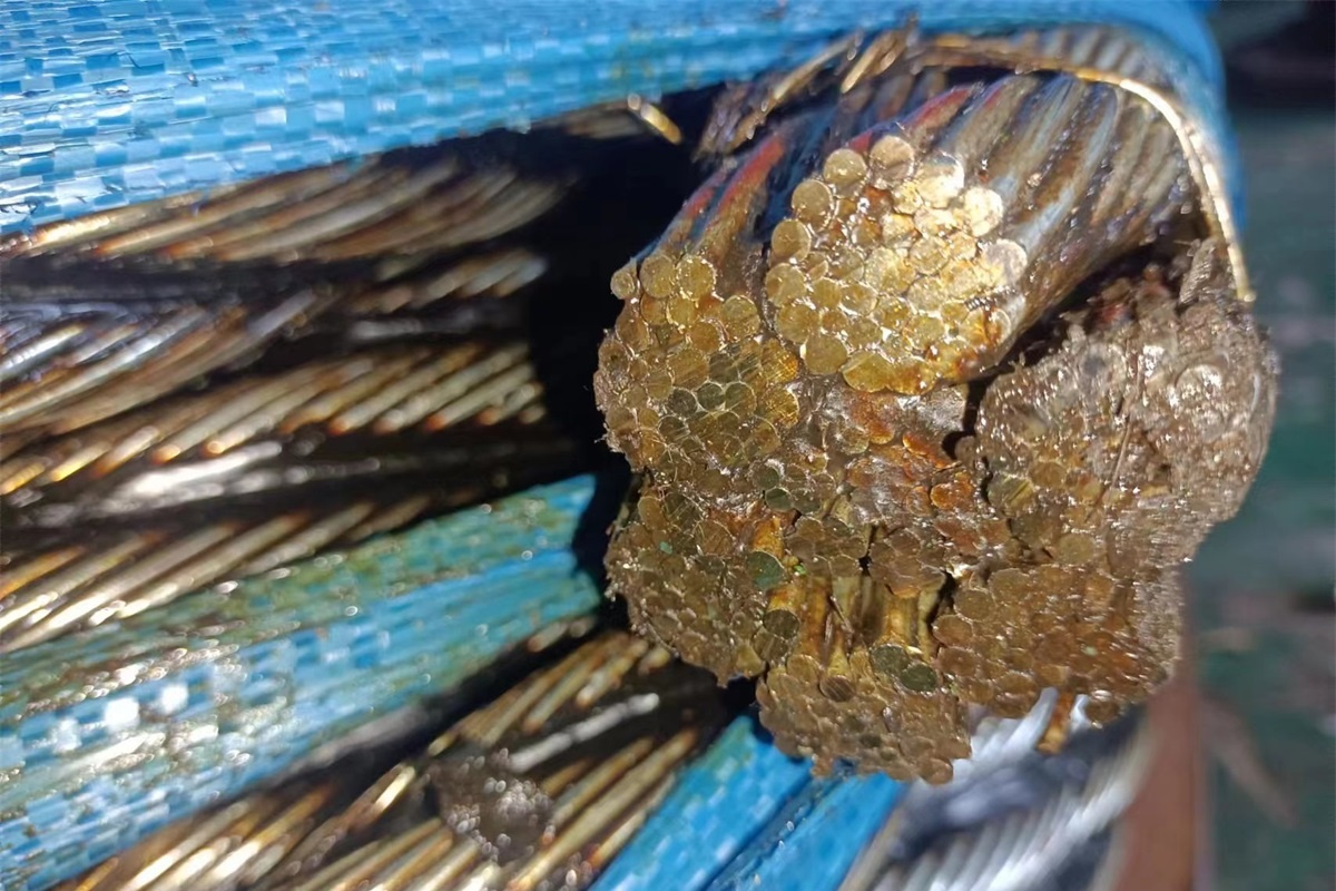 IWRC スチールワイヤーロープの構造 - パート 2